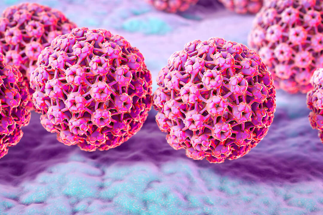 HPV (İnsan Papilloma Virüsü)
